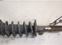 95948812, 96626321 Амортизатор подвески Chevrolet Captiva 2006-2011 20383167 #1