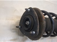  Амортизатор подвески Suzuki Grand Vitara 2005-2015 20383173 #3