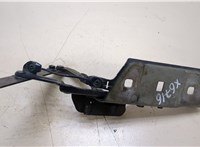  Петля капота Opel Insignia 2017-2020 20383437 #3