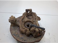430185X00A, 432024X00A Ступица (кулак, цапфа) Nissan Pathfinder 2004-2014 20383520 #1