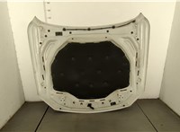 41617204514, 7204514 Капот BMW 7 F01 2008-2015 20383815 #9