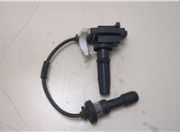  Катушка зажигания Hyundai Santa Fe 2000-2006 20383870 #1