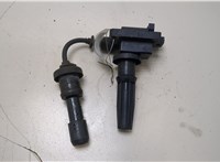  Катушка зажигания Hyundai Santa Fe 2000-2006 20383874 #1