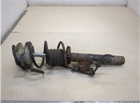  Амортизатор подвески BMW 3 E90, E91, E92, E93 2005-2012 20383920 #1