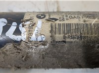  Амортизатор подвески BMW X5 E70 2007-2013 20384017 #3