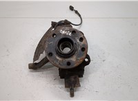  Ступица (кулак, цапфа) Volkswagen Sharan 1995-1999 20384097 #1