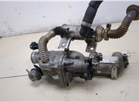  Клапан рециркуляции газов (EGR) Ford Transit (Tourneo) Connect 2002-2013 20384426 #5
