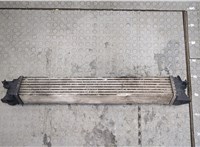 53144431, DF630001 Радиатор интеркулера Peugeot Boxer 2014- 20384789 #2
