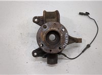  Ступица (кулак, цапфа) Renault Megane 2 2002-2009 20384897 #1