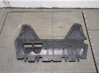 3C0825237D Защита моторного отсека (картера ДВС) Volkswagen Passat 6 2005-2010 20385515 #1