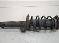  Амортизатор подвески Volkswagen Passat 6 2005-2010 20385570 #1