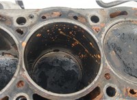  Блок цилиндров (Шорт блок) Nissan Almera Tino 20386171 #8
