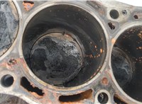  Блок цилиндров (Шорт блок) Nissan Almera Tino 20386171 #9