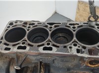 04L100103LX Блок цилиндров (Шорт блок) Audi A6 (C7) 2011-2018 20386366 #9