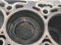 04L100103LX Блок цилиндров (Шорт блок) Audi A6 (C7) 2011-2018 20386366 #11