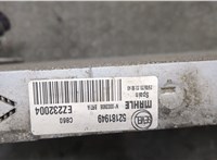1629086780, 1699077080, 1391497080 Радиатор охлаждения двигателя Citroen Jumper (Relay) 2014-2025 20387102 #4