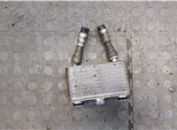  Теплообменник BMW X5 E53 2000-2007 20387130 #1