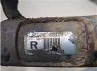 4851080451, 4813142531 Амортизатор подвески Toyota RAV 4 2006-2013 20387144 #5