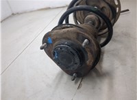 4851080451, 4813142531 Амортизатор подвески Toyota RAV 4 2006-2013 20387144 #5