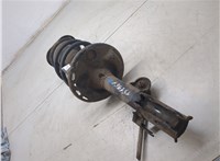 4851080451, 4813142531 Амортизатор подвески Toyota RAV 4 2006-2013 20387144 #6