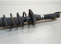  Амортизатор подвески Volkswagen Golf 4 1997-2005 20387280 #1