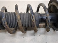  Амортизатор подвески Volkswagen Golf 4 1997-2005 20387280 #3