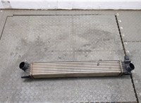  Радиатор интеркулера Citroen Jumper (Relay) 2014- 20387302 #1