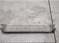  Радиатор интеркулера Citroen Jumper (Relay) 2014- 20387302 #3