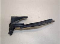  Петля капота Nissan Note E11 2006-2013 20387341 #1