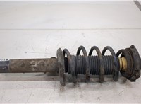  Амортизатор подвески Volkswagen Passat 6 2005-2010 20387451 #1