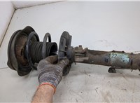 A2033204930 Амортизатор подвески Mercedes CLC 2008-2011 20387610 #3