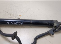  Амортизатор крышки багажника Toyota RAV 4 2013-2015 20387950 #3