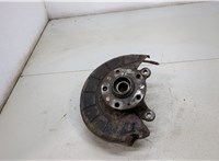  Ступица (кулак, цапфа) Skoda Octavia (A5) 2004-2013 20388050 #1