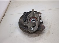 A2043500341, A2309810127, A2303570408 Ступица (кулак, цапфа) Mercedes E-Coupe C207 2009- 20388175 #1