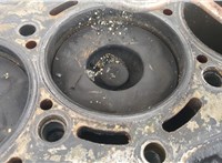  Блок цилиндров (Шорт блок) KIA Carnival 2001-2006 20388427 #9