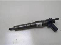13537805428, 7805428 Форсунка топливная BMW 7 F01 2008-2015 20388508 #1
