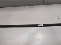 Молдинг стекла (боковое) Ford Focus 2 2008-2011 20388586 #1