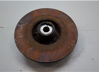 432004943R Ступица (кулак, цапфа) Renault Scenic 2003-2009 20388625 #8
