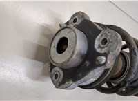 50707078 Амортизатор подвески Peugeot Boxer 2014- 20388915 #2