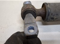  Амортизатор подвески Peugeot Rifter 20388992 #2
