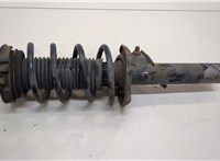  Амортизатор подвески Volkswagen Passat 6 2005-2010 20388996 #1