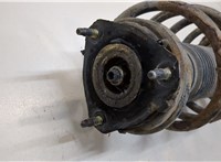  Амортизатор подвески Ford Fiesta 2008-2013 20388997 #2