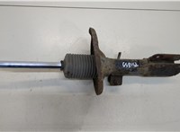  Амортизатор подвески Mitsubishi Grandis 20389012 #1