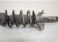  Амортизатор подвески Ford Fiesta 2008-2013 20389026 #1