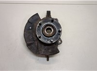  Ступица (кулак, цапфа) Hyundai Tucson 1 2004-2009 20389154 #1