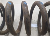 A1233240604 Пружина подвески Mercedes S W126 1979-1991 20389324 #6