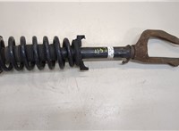  Амортизатор подвески Honda Crosstour 20389390 #1