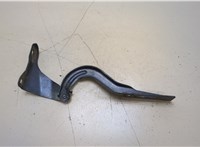  Петля капота Honda CR-V 2007-2012 20389481 #3
