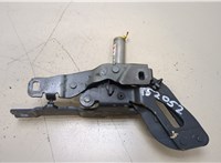  Петля капота Peugeot RCZ 2010-2015 20389500 #1
