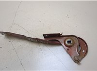  Петля капота Peugeot Rifter 20389504 #3